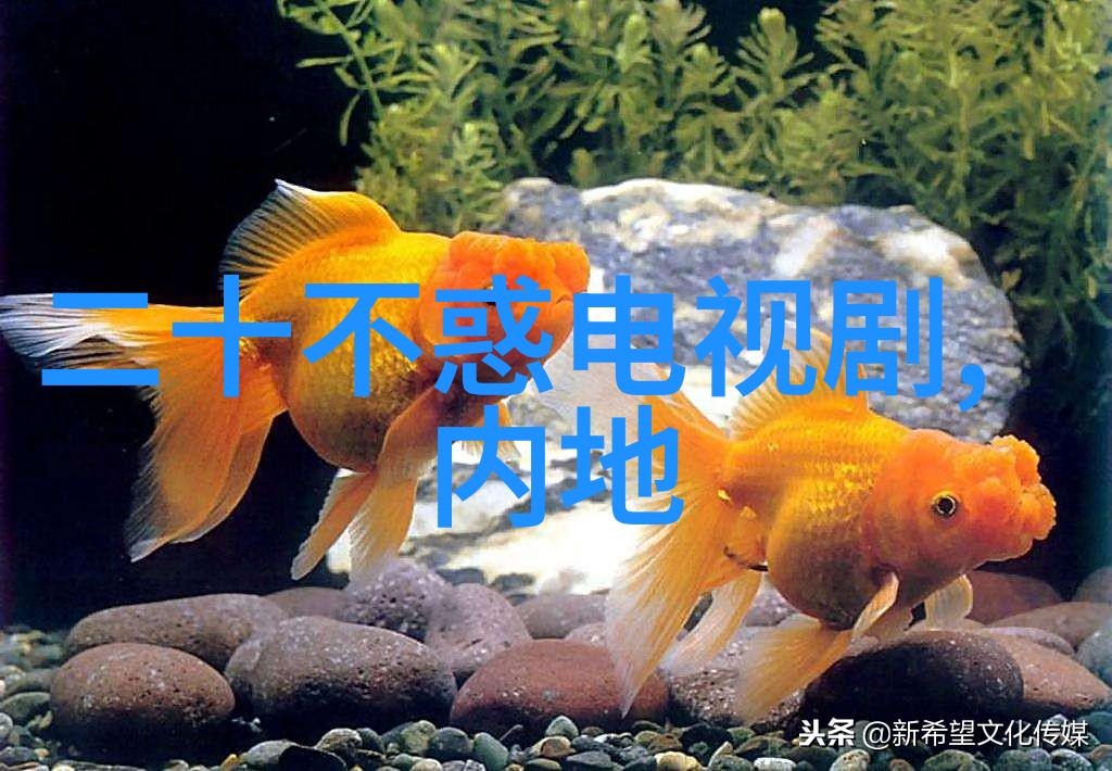 韩日精彩绝伦推理电影我来盘点那些让你心跳加速的悬疑大作