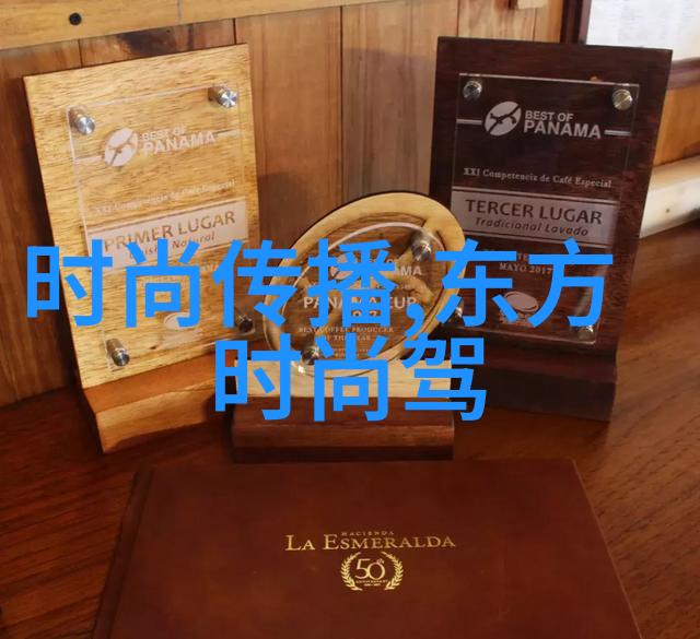 纤丝绘影探索丝袜美女写真的艺术与魅力