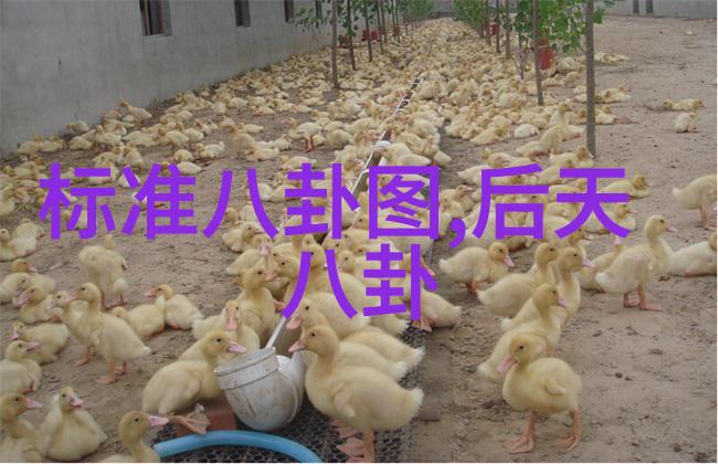 中国在全球舞台上的角色转变及其对世界秩序的影响