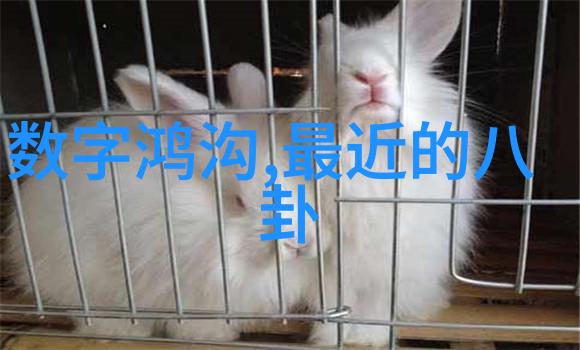 新时代新旗帜两岸合并后的国号选择与考量