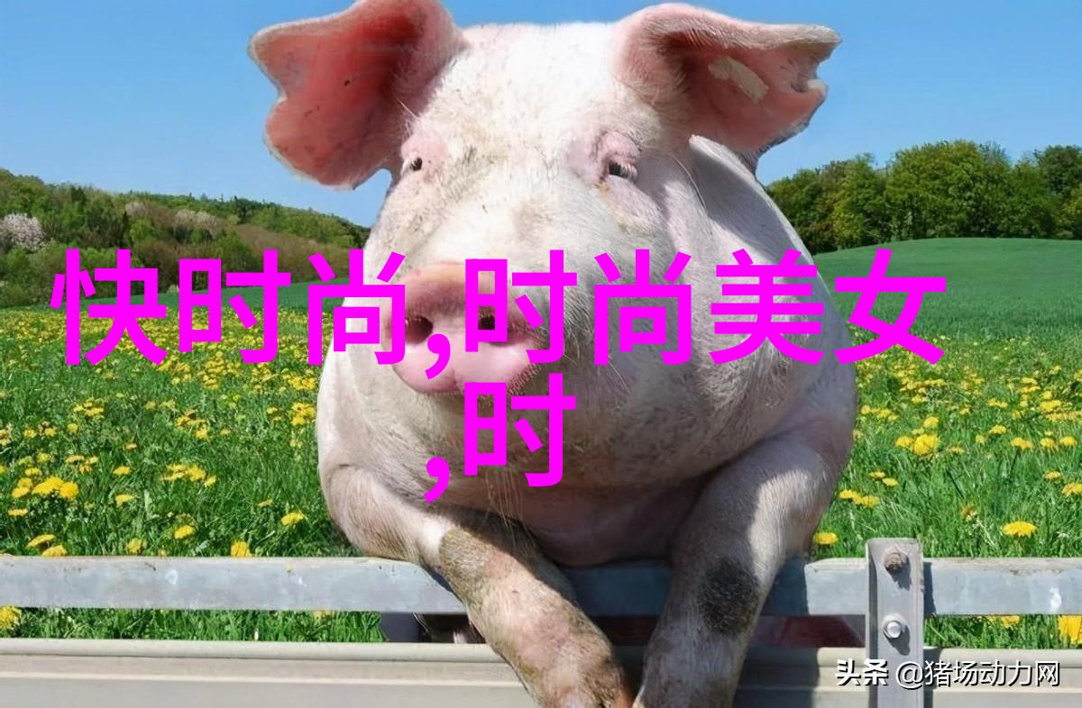 在长白山网红经济的分类又将迎来怎样的起灵归宿