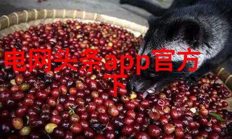 娱乐圈明星绚丽的红毯与幕后故事