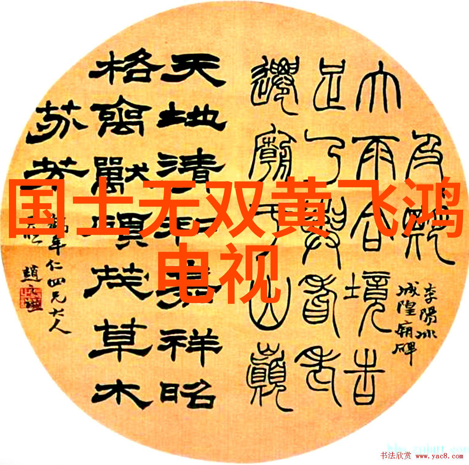 赵琦君杨凯雯的爱情故事如同先天中天后天八卦图般精彩纷呈他们是如何在繁星之下相遇的呢