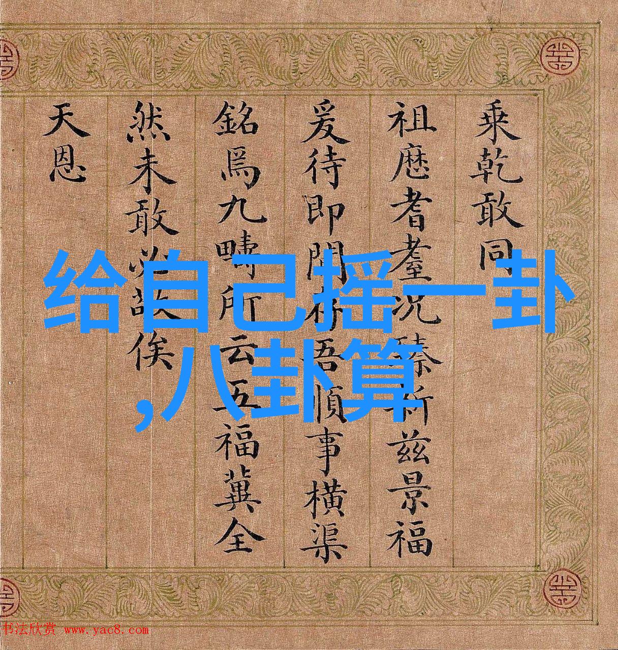 春日暖阳下的色彩交响