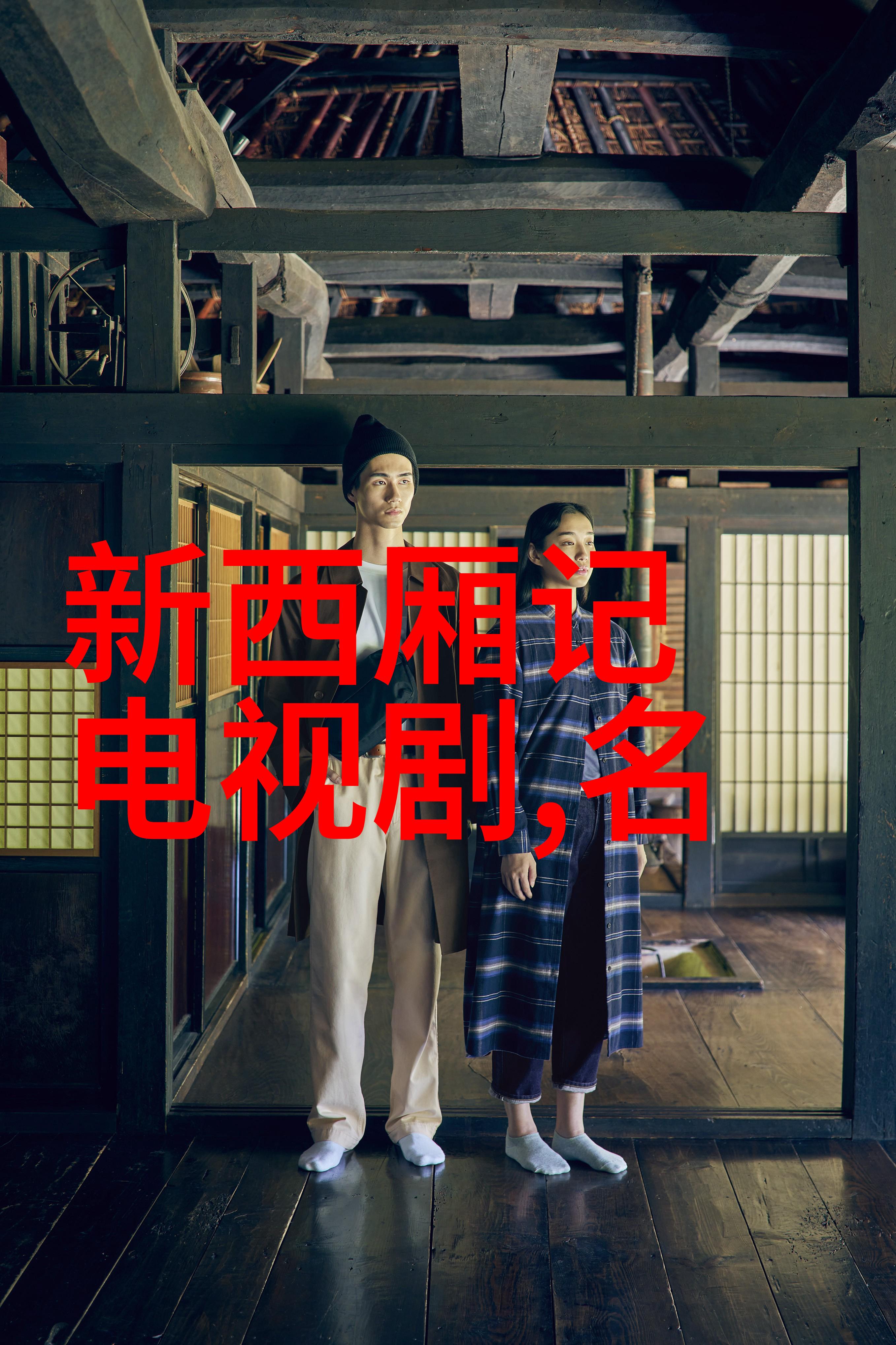 儿子暴躁老妈妈家庭冲突与情感解析