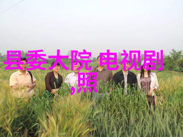 刘亦菲写真捕捉时尚巨星的魅力瞬间
