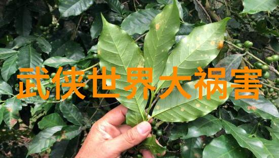 《江湖风云再起：武侠世界大祸害的复仇之路》