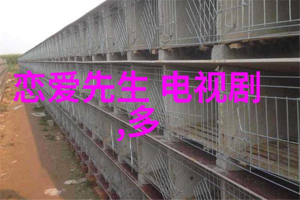 从纱线到画布创作丝袜写真的技艺秘诀