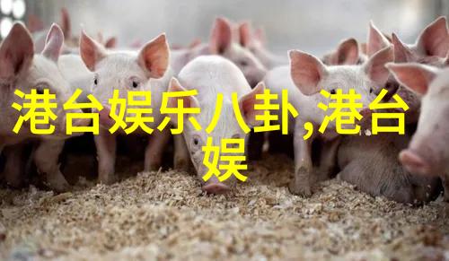 武则天秘史龙凤双飞的传奇时代
