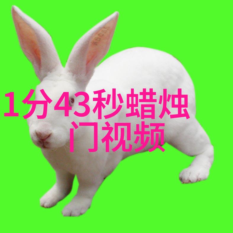 两岸情缘绘卷中的相思