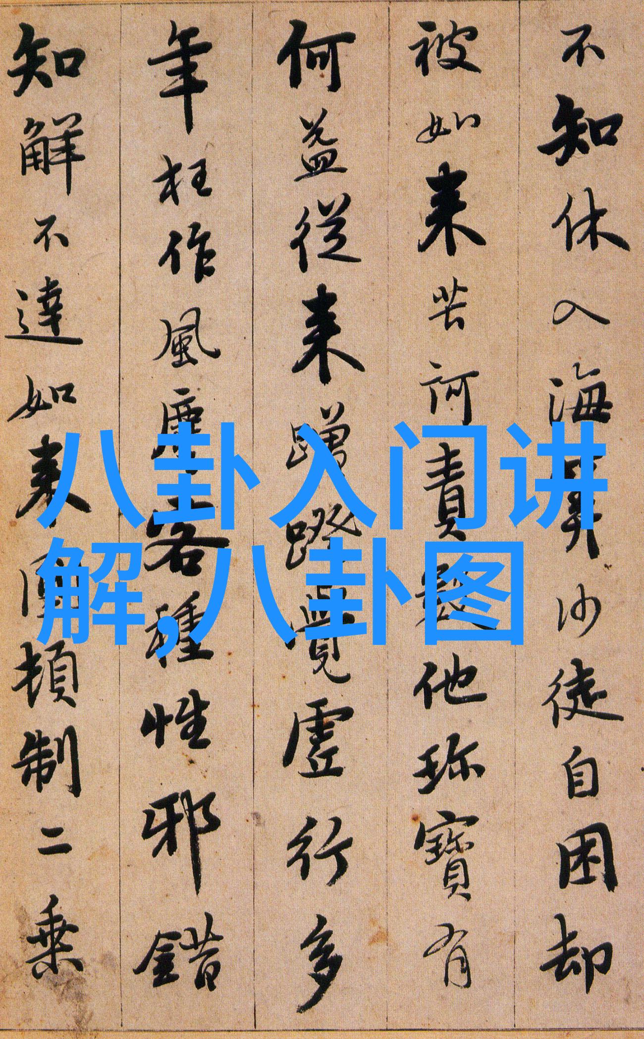 时代少年团综艺探秘背后的故事与无限魅力
