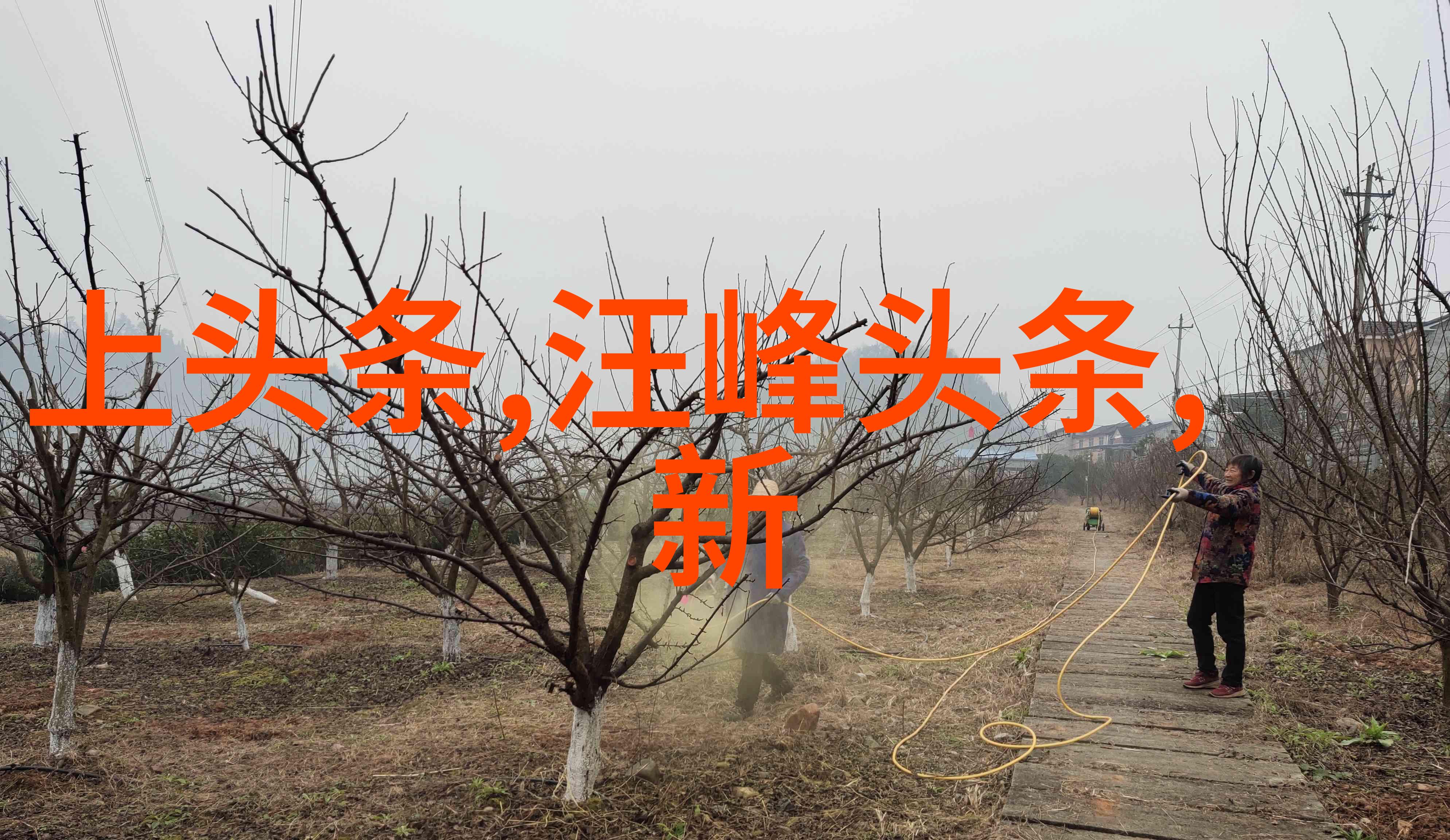 图片回顾2022如何讲述一个年的故事