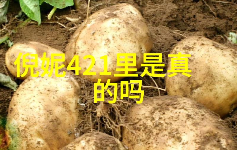 俄中边界和平解约新时代领土归属的开始