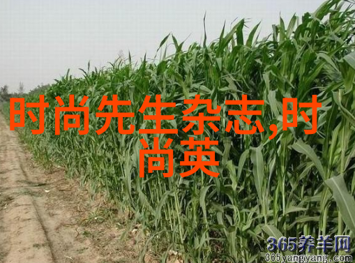 今日头条极速版下载免费 - 极速阅读触手可及探索今日头条极速版的便捷之道