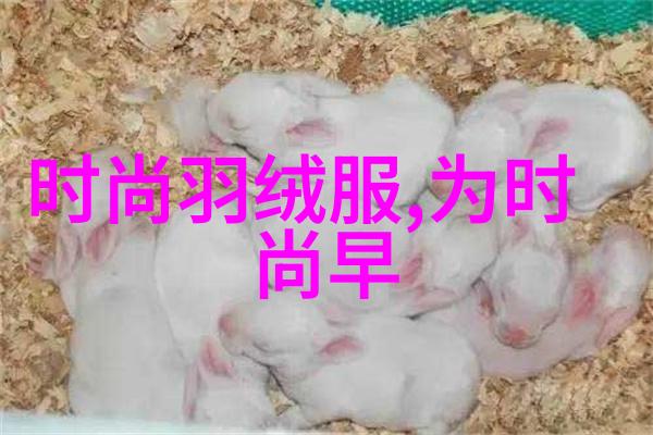 毛雪汪综艺免费观看中的恋爱暴君像极了一位慈悲为怀的领主在动漫世界中他的名声远扬让无数少女心跳加速如今