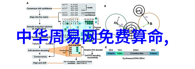 镜头捕捉真实世界的艺术抒情