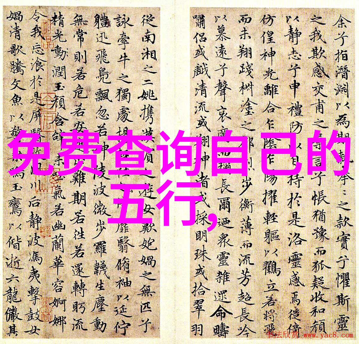 燃情密码谢春花生日演唱会花语时即将开启北展剧场再度回响舞台光芒