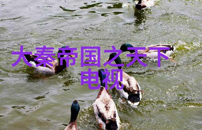 超级合集百川综艺季揭秘幕后花絮