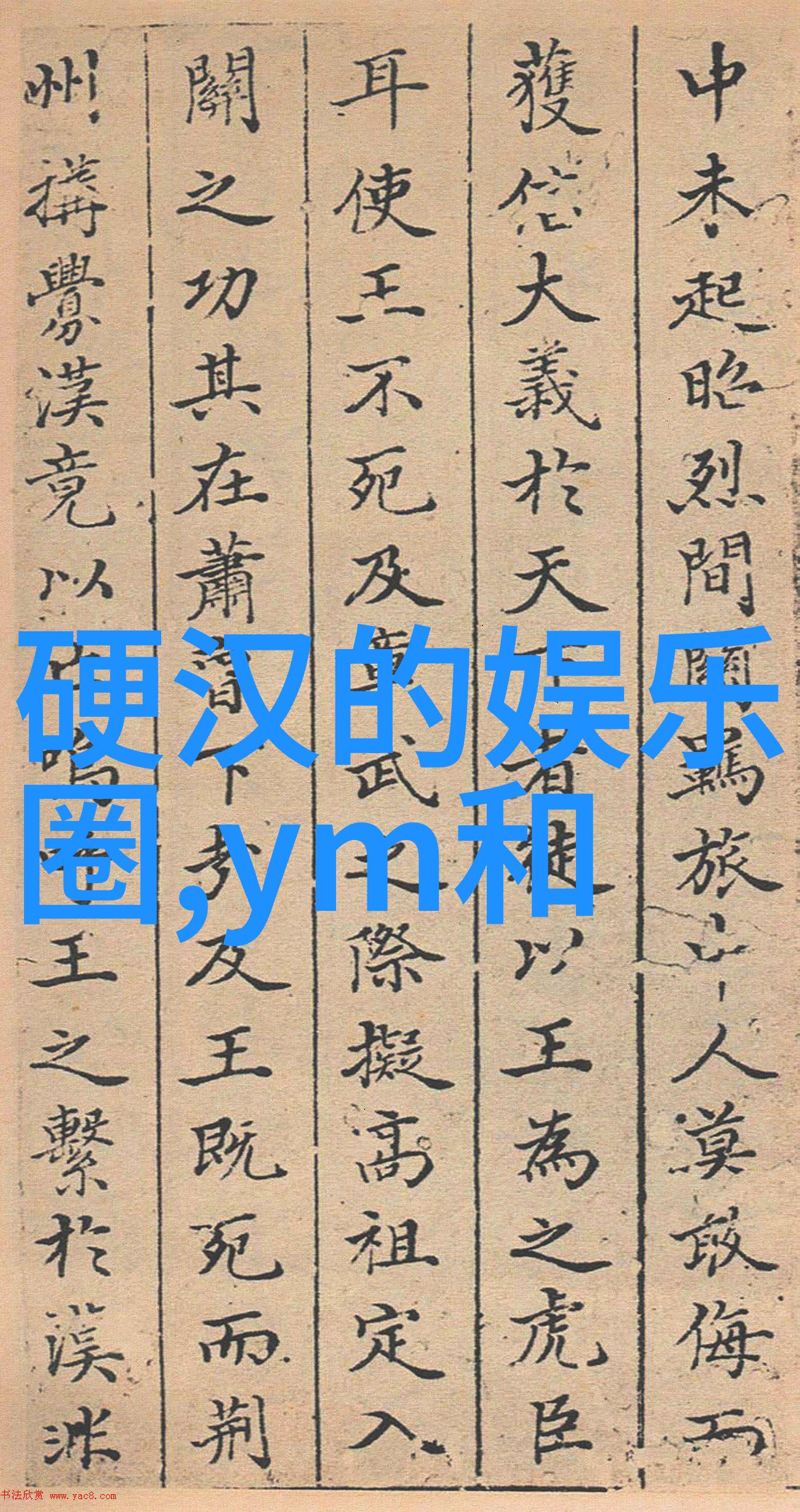 网红大美丽镜头下的魅力与梦想