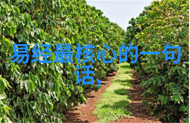 绯色纱幕下的诱惑