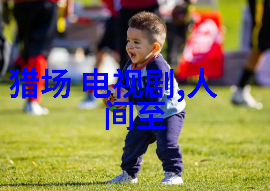 越南传统武术中的新篇章探索新越女剑之美