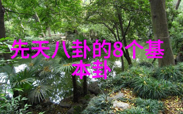 大神娱乐之谜背后的秘密与星光下的挑战