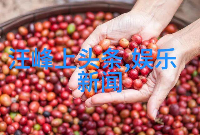幕后大师电影电视剧制作精髓解析