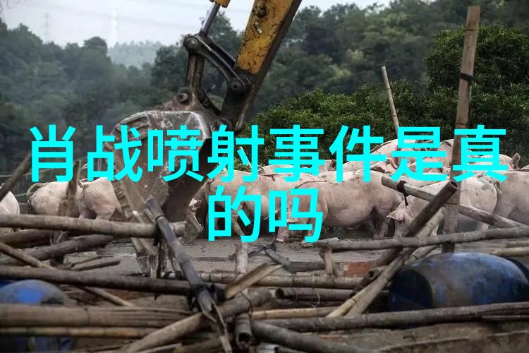 蓝色波涛大海的电影语言