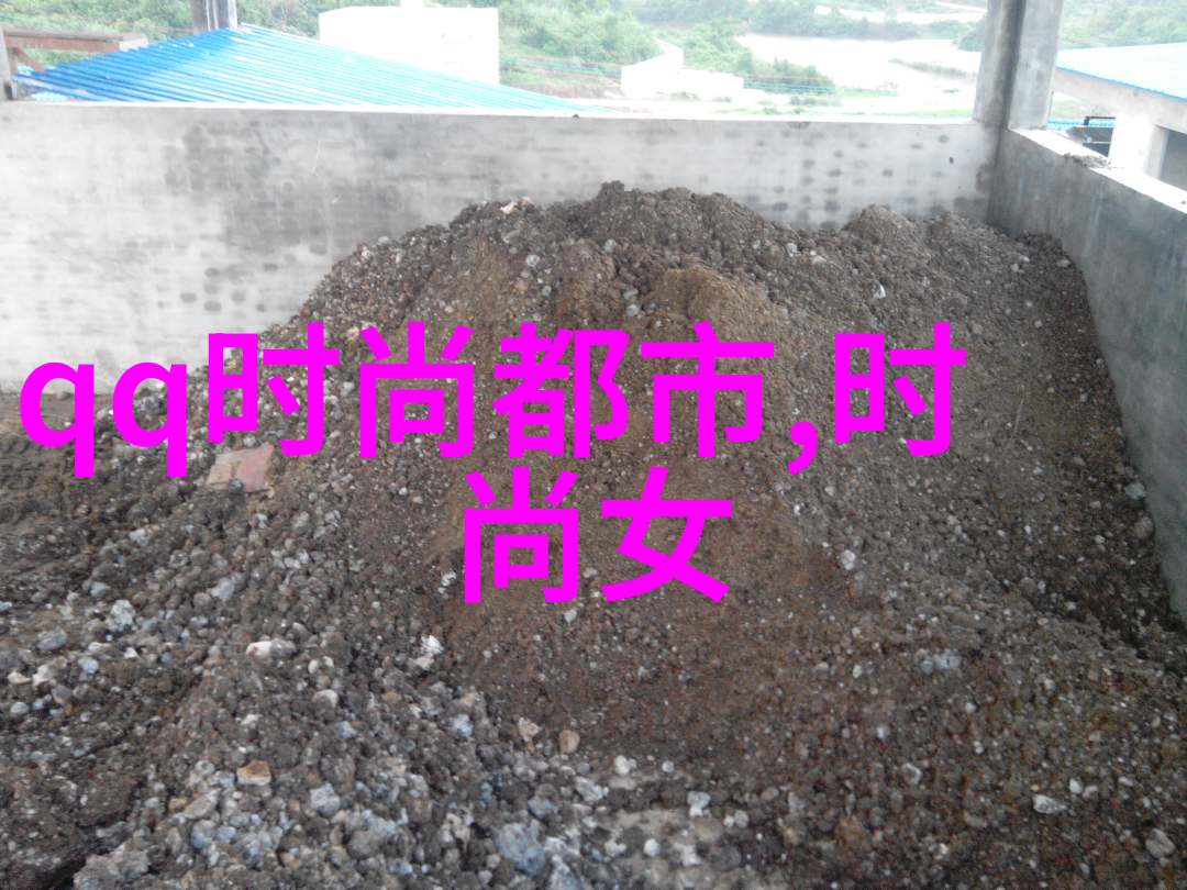 镜头下的诗篇捕捉瞬间的美丽与故事