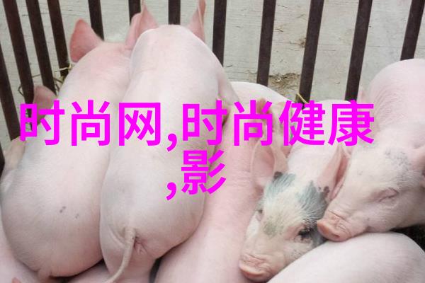 关于台湾的最新消息新闻我亲眼看来的台湾从花蓮的热气球到高雄的夜市这里有太多惊喜等着你