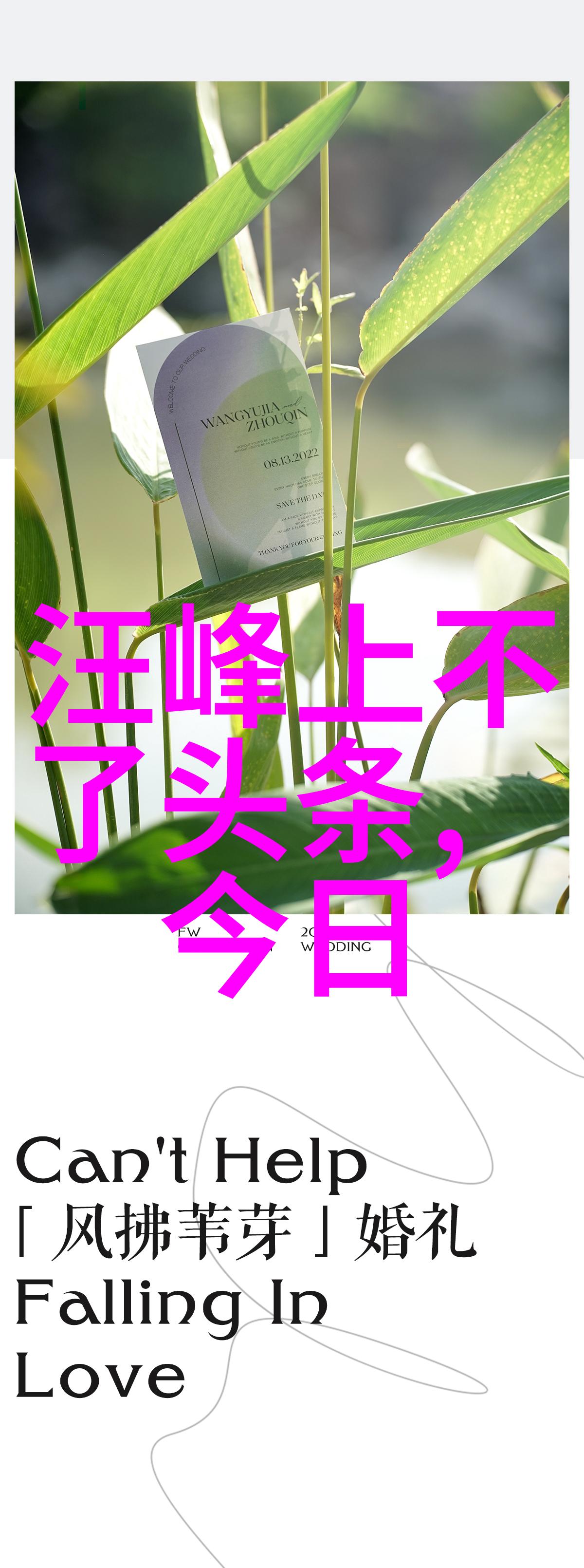 网红时代的青春如何健康面对网络影响力