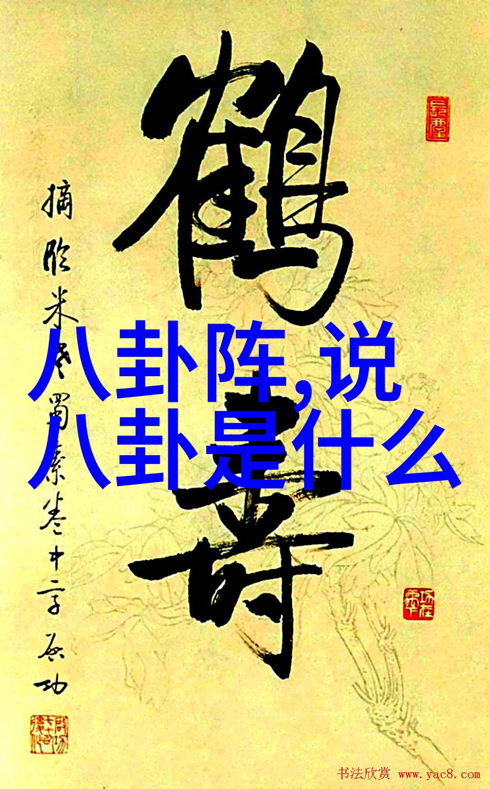 反复传绯闻太离谱2021迪丽热巴承认恋情贾玲遭指控范丞丞怒斥造谣者把嘴闭上