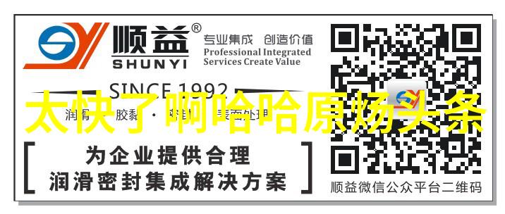 西出玉门小说-沙漠中的传奇与梦想