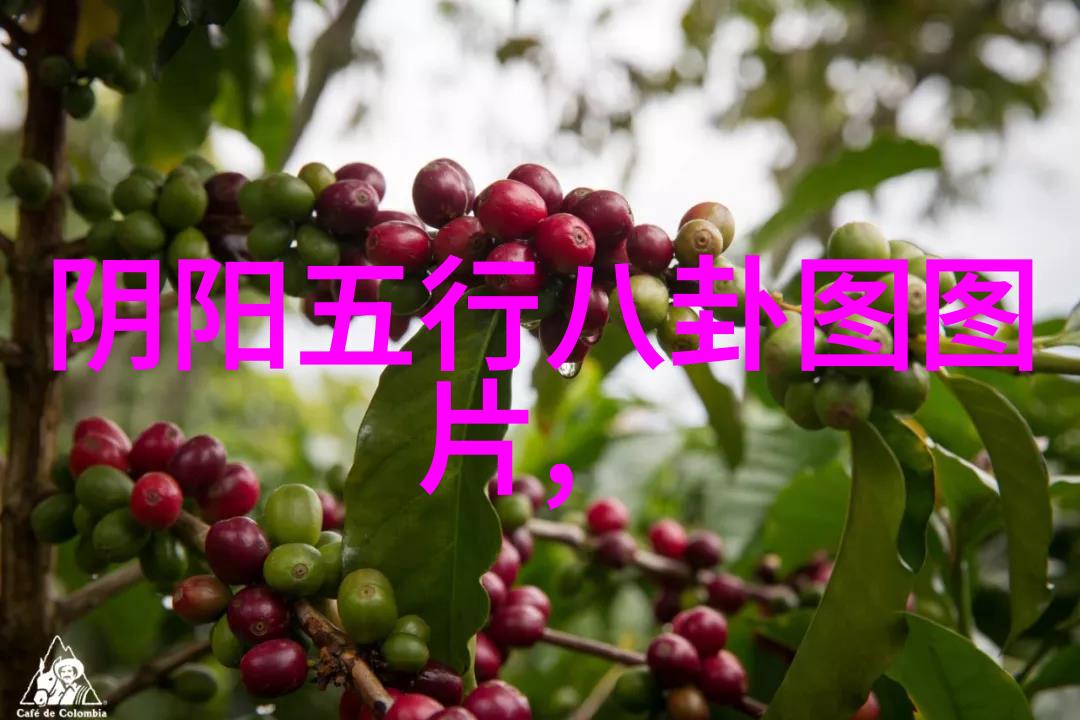 寨里的男人与山谷里的女人