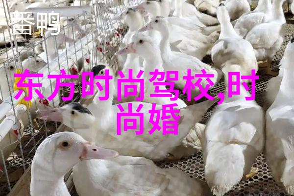 故事背后通过写真展现生活中的真实瞬间