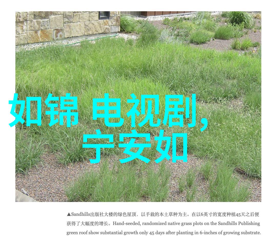 八卦五行大富贵揭秘你命中注定的财源风云