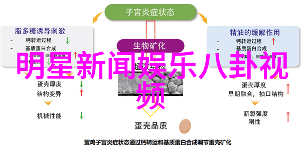 时尚美女写真套图捕捉女性魅力的瞬间