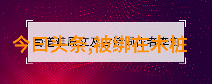 综艺恋爱游戏如何在镜头前赢得他人的心