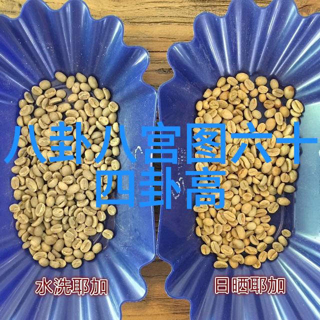 网红梦之争揭秘全国最大名单背后的幕后巨擘