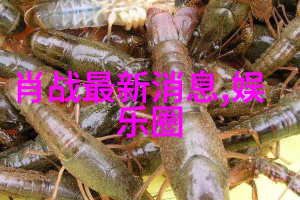 欢迎光临电视剧探索人生旅途中的每一个角落
