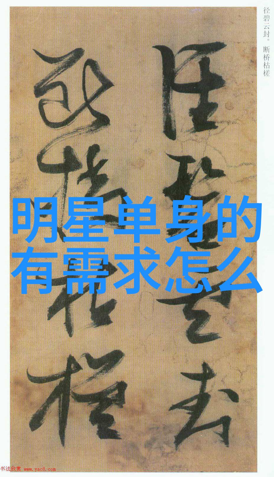 大胆写真探索生活的真实面貌