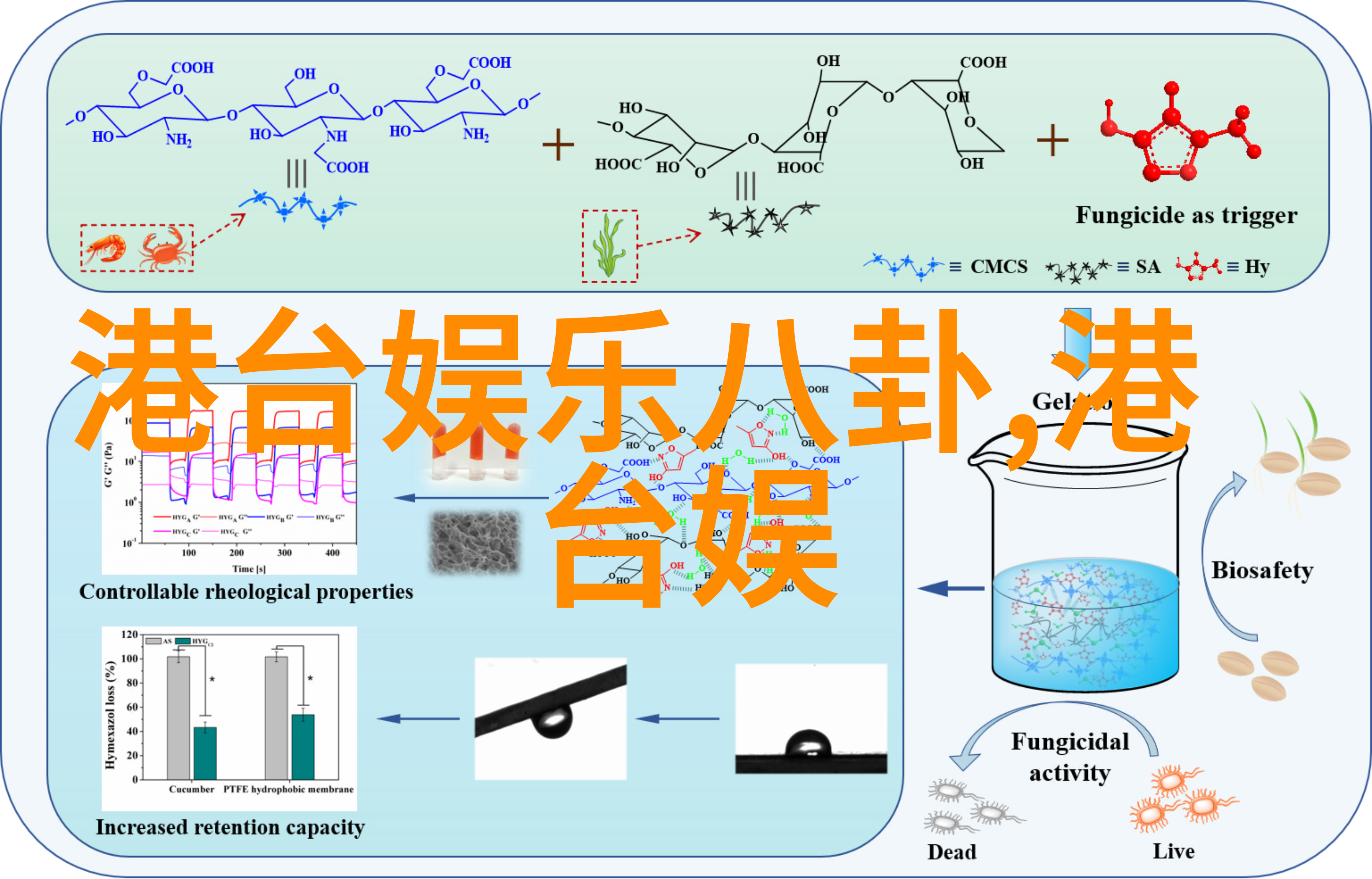 拍摄手法与后期处理技巧让你的照片更具电影效果