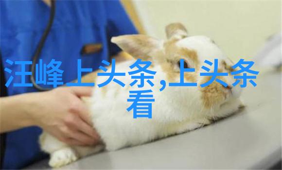 音乐爱好者的福音免费下载神器的奇迹
