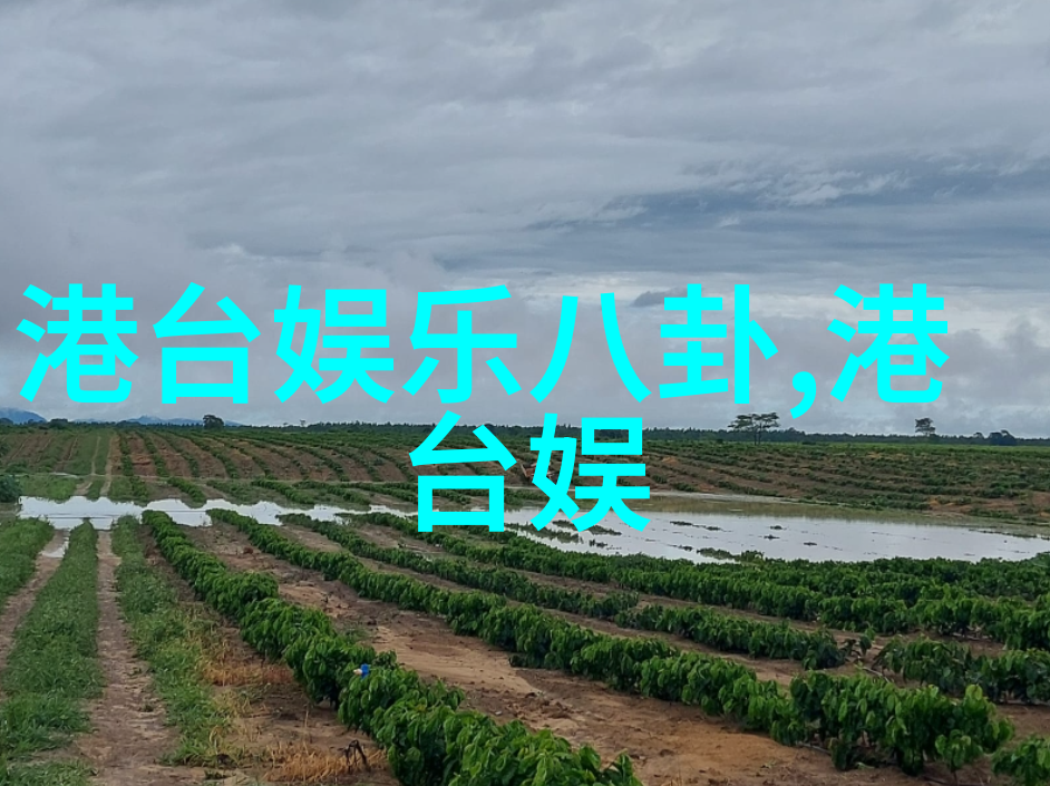 山东综艺频道震惊武汉大学鲁述钊女朋友照片曝光网友一站到底追踪他的微博资料