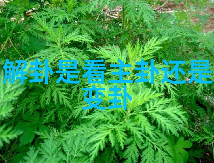 每一片土地都有它自己的声音对话地球上所有的大陆们