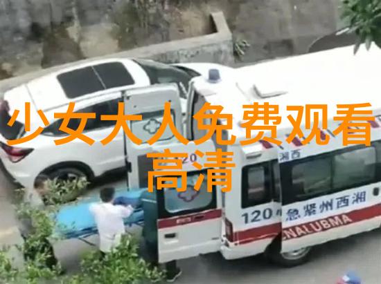 美女写真网探索时尚与艺术的完美融合