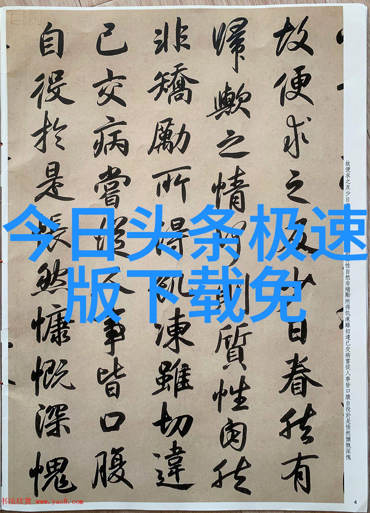 阳光下的影像捕捉易阳的瞬间美