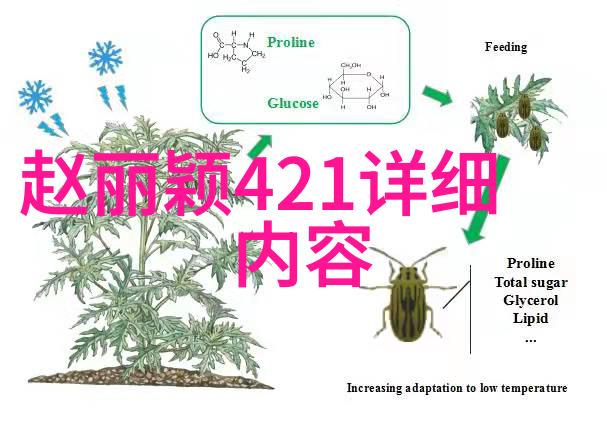 八卦趣闻-女生说男生八卦揭秘背后的言语游戏