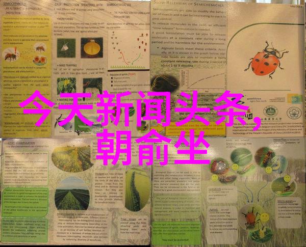 极致视觉体验青春娱乐盛宴的艺术展示