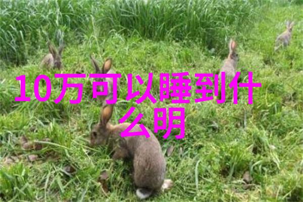 22232轴承在机械设备中的重要性分析